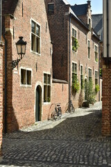 Obraz premium Rue à pavés entre les maisons historiques du Grand Béguinage de Louvain (Leuven)