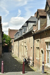 Rue à pavés entre les maisons historiques du Grand Béguinage de Louvain (Leuven)