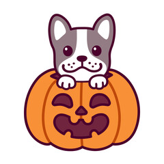 Cute cartoon French Bulldog in Halloween pumpkin