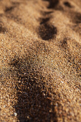 The texture of sand and small pebbles close up. Sun shadows, warm light.