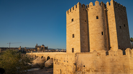 Naklejka premium Torre De Calahorra cordoba spanien