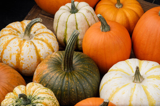 Many multi colored decorative pumpkin