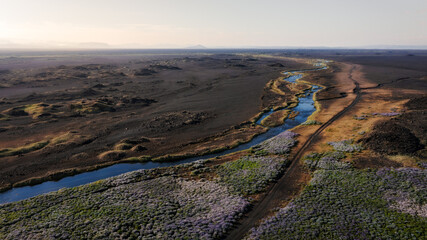 Aerial view of colorful riverbed with blue lupines, Iceland roadtrip, volcanic landscape, black beach 
