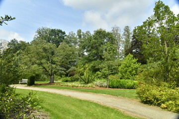 Fototapeta premium Chemin sous la végétation luxuriante de différents spécimens à l'arboretum de Bokrijk au Limbourg 