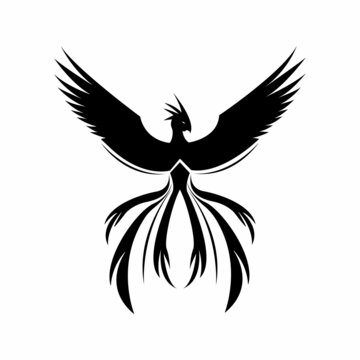 phoenix design logo vector. phoenix animal logo vector
