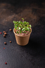 microgreen radish green petals fresh seedlings raw food fresh portion ready to eat meal snack on the table copy space food background rustic. top view keto or paleo diet veggie vegan or vegetarian