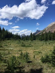 Obraz premium Not a soul in sight