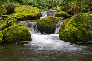 Naklejka na ściany i meble Cascading down a small mountain stream, the water runs over basalt boulders. A small waterfall runs through the moss.
