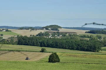 Fototapeta na wymiar Arbres et bois isolés entre les prairies et champs près du bourg de Champagne au Périgord Vert
