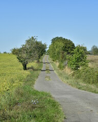 Route secondaire de campagne traversant les champs au Puy de Versac au Périgord Vert
