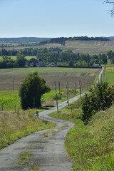 Route secondaire de campagne entre champs et prairie descendant la pente du Puy de Versac vers Goût-Rossignol au Périgord Vert