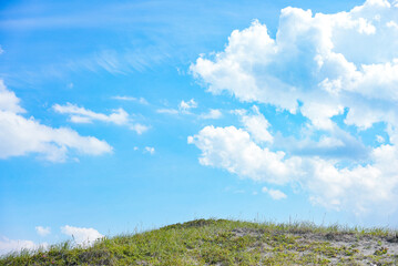 Obraz premium 草原と青空