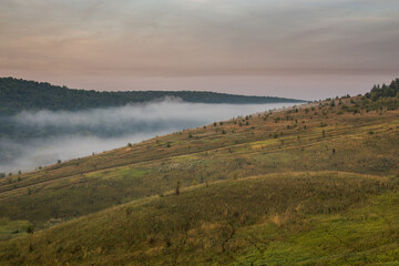 summer morning fog behind wild green slope and far forest