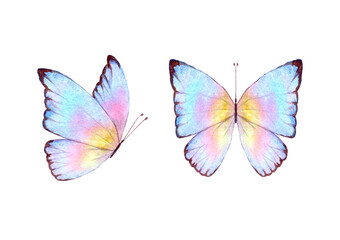 Obraz na płótnie Canvas Watercolor botanical summer set of multicolor colorful butterflies