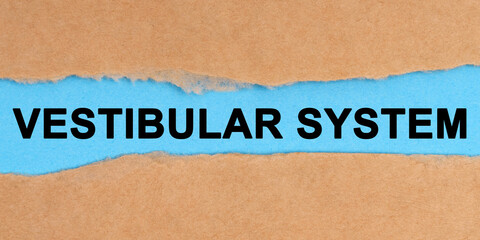 The paper is ripped in the middle. Inside on a blue background it is written - Vestibular System