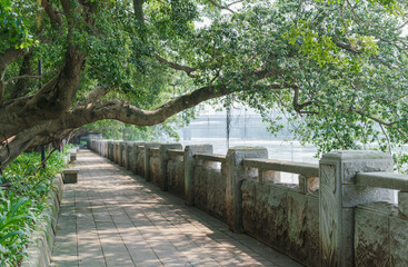 Tree lined path and a river