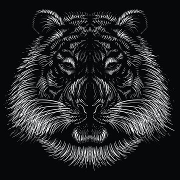 The Vector logo tiger for tattoo or T-shirt design or outwear.  Hunting style big cat print on black background. This hand drawing is for black fabric or canvas.