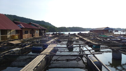 Fish Farm