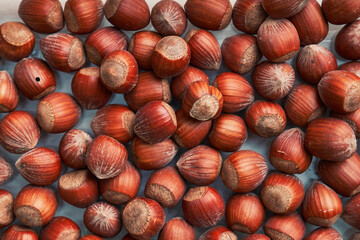 Healthy natural hazelnuts. Raw nuts texture