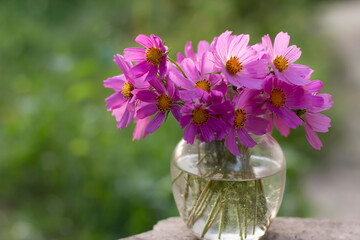 flowers in a vase