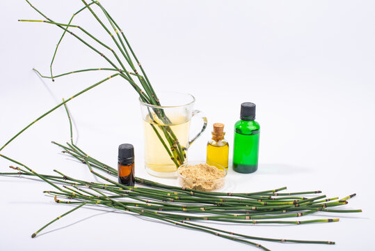 Water Horsetail Herb, Horsetail Oil, Extract And Glass Of Tea On White Background.