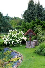 well lined with pebbles, garden with flowers and a well, white hydrangea and green trimmed grass