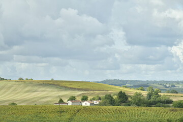 Ciel gris et éclaircie au dessus de la campagne du Périgord Vert au Bourg de Vendoire  - obrazy, fototapety, plakaty