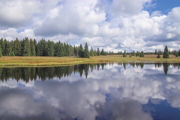 A beautiful water reflection of the landscape with forest, hill and clouds near Bozi Dar, Czech republic