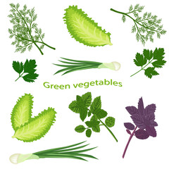 Green vegetables isolated on white background. Fresh basil, green onion, fresh dill, lettuce leaf, green parsley. Vector illustration of leaf vegetables. - 453646397
