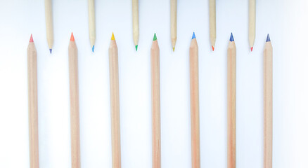 Multicolored pencils on a white background