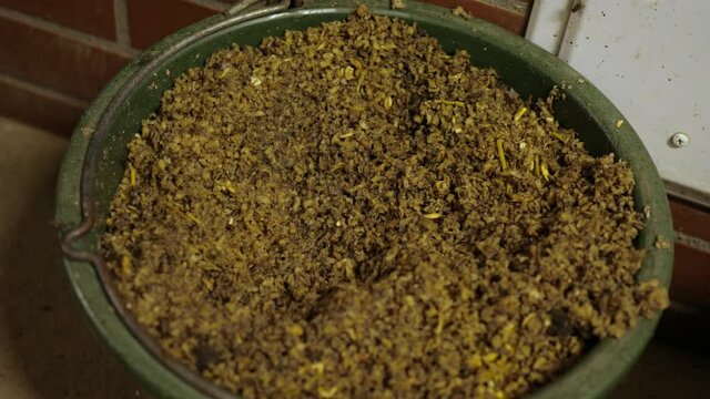 fodder, chaff pulp for the horse made of oats, beetroots 