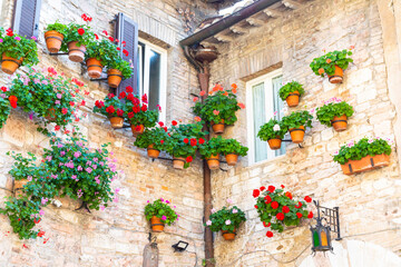 Assisi village in Umbria region, Italy. The town is famous for the most important Italian Basilica dedicated to St. Francis - San Francesco.