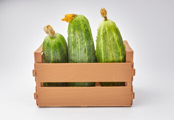 Wooden box crate with Fresh garden cucumbers isolated on white background