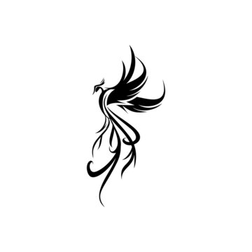 Black White Phoenix Fire Bird Peony Stock Vector Royalty Free 677253232   Shutterstock