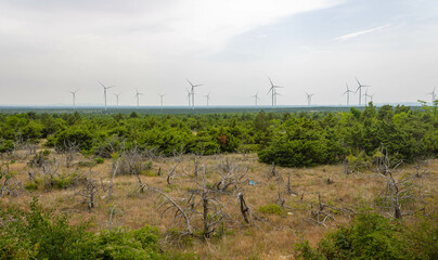 Landscape with windmills on the horizon