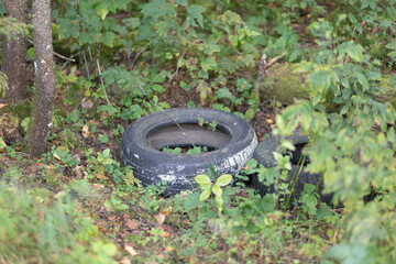 Garbage in the forest.Old tires in the forest.Environmental pollution.