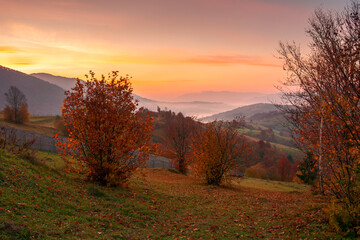 rural landscape at sunrise. beautiful autumnal mountain scenery. trees in fall foliage and wooden fence on the grassy hillside meadow. agricultural fields on the distant rolling hills