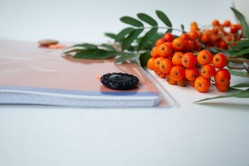 Rowan and a notebook with a button