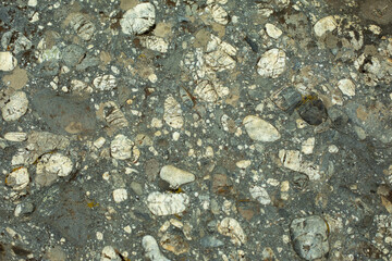 Sandstone texture. The stone is in the details.