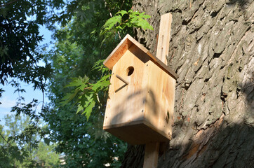 do-it-yourself birdhouse on a tree
