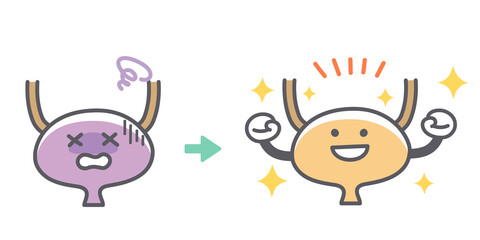 人間の膀胱の病気から回復するビフォーアフター