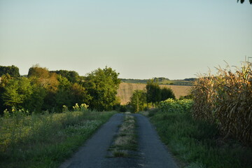 Chemin traversant les prairies sous l'ombre d'une colline en fin de journ&eacute;e pr&egrave;s du bourg de Champagne au P&eacute;rigord Vert 