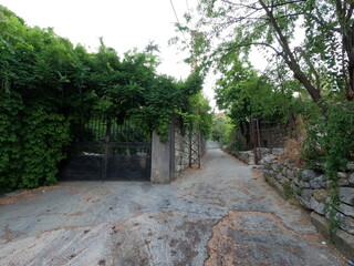 Empty village road. Silent and relaxing place. Walk path