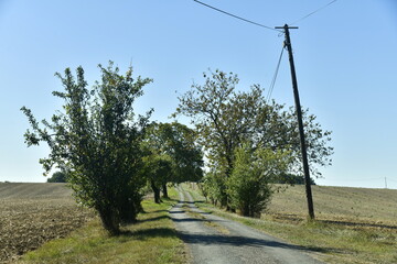 Route étroite de campagne entre les arbustes aux environs de Vendoire au Périgord Vert 