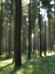 Fototapeta premium Fotokunst