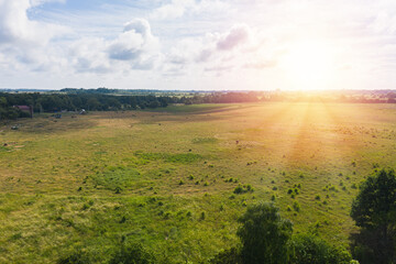 Countryside summer field with green grass and trees on sunset. Aerial view