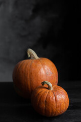 large and small pumpkin on a dark background