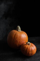 pumpkin on black background