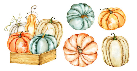 Pumpkins watercolor set. Hand drawn autumn, fall, thanksgiving. Natural organic vegetarian food, harvest. Fall wedding invitation, card, background, poster, banner,template