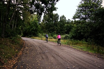 Cyclists in the forest.